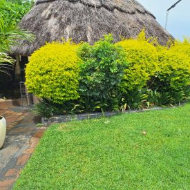 Ashleys Guest House Gazebo (1)