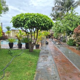 Ashleys Guest House Outdoors (2)