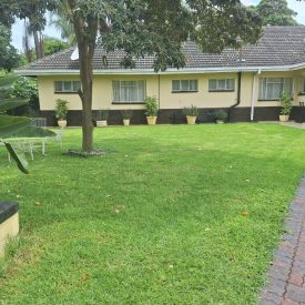 Ashleys Guest House Outdoors (8)